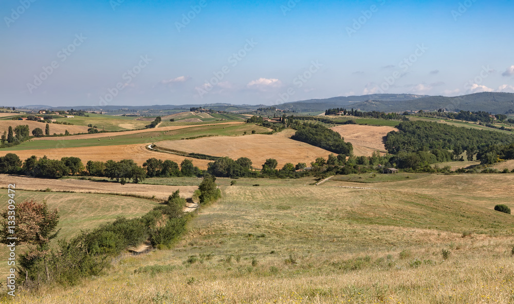 Fototapeta premium Toscana