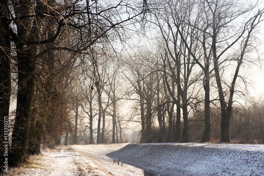 winter landscape with trees winter landscape with trees