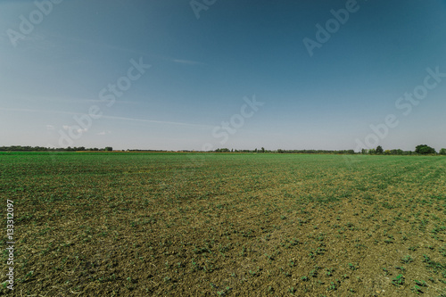 Green field plow-land with blue sky