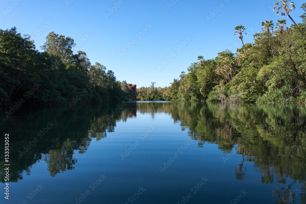 Fototapeta premium Reflections on Lawn Hill creek on a morning