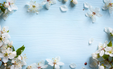 art spring background; fresh flower on blue background