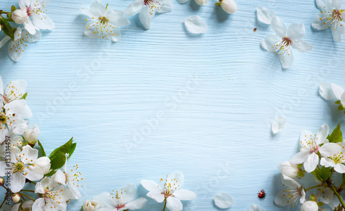 Fototapeta Naklejka Na Ścianę i Meble -  art spring background; fresh flower on blue background
