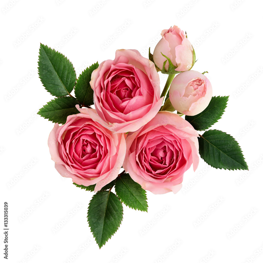 Naklejka premium Pink rose flowers arrangement