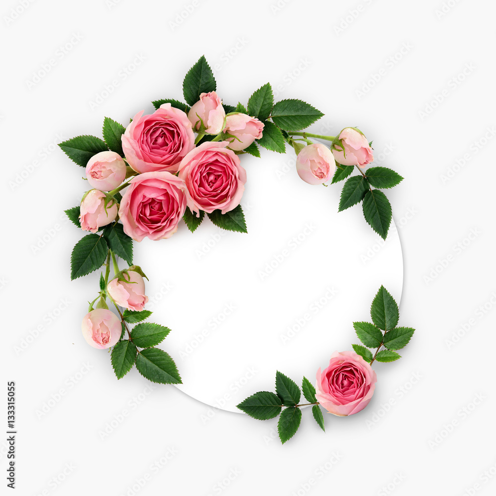 Fototapeta premium Pink rose flowers and buds arrangement on white circle card