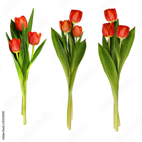 Fototapeta Naklejka Na Ścianę i Meble -  Set of red tulip flowers bouquets