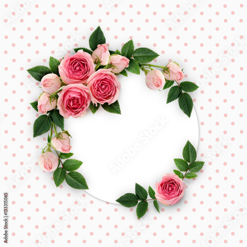 Pink rose flowers and buds ...