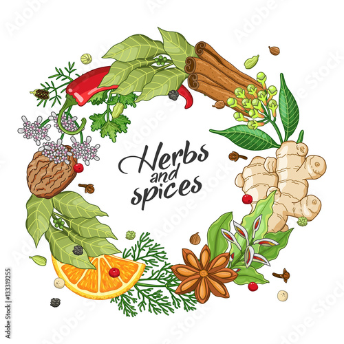 Vector winter circle wreath template with spices and herbs. Decorative colorful composition with type design