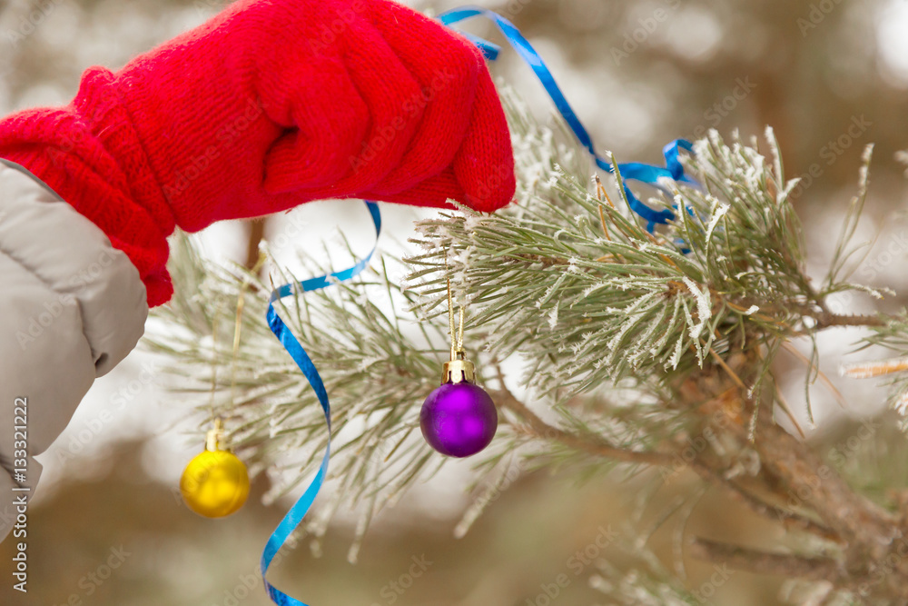 Human Hand decorating outdoor Christmas Tree
