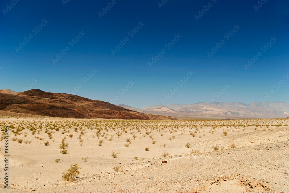 Lifeless landscape of the Death Valley