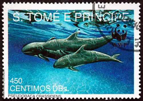Postage stamp Sao Tome and Principe 1992 False Killer Whale