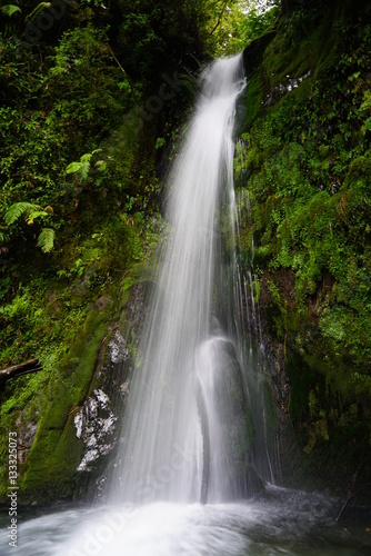 Fototapeta Naklejka Na Ścianę i Meble -  Waterfall in New Zealand