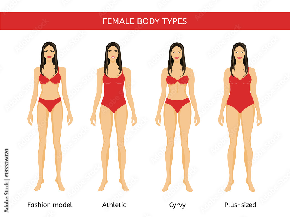 Vetor de Set of Female body types: fashion model, athletic, curvy and plus  size do Stock