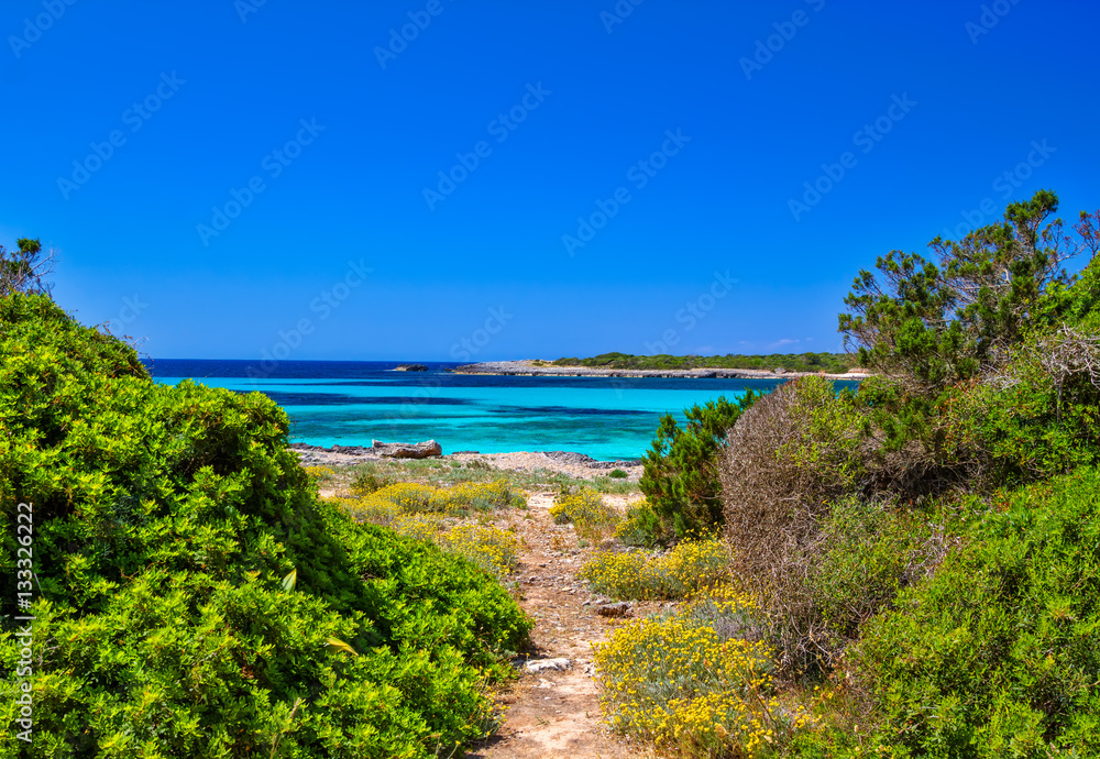 Footpath along the sea at the south coast of Menorca island, Spa