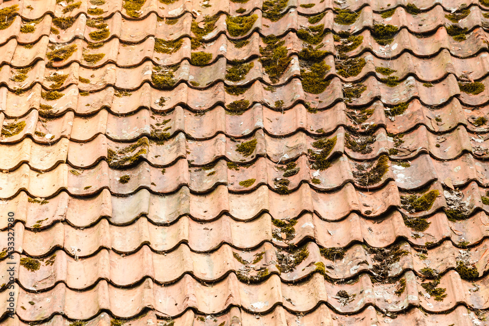 Closeup of red roof tiles with green dust Closeup of red roof tiles with green dust