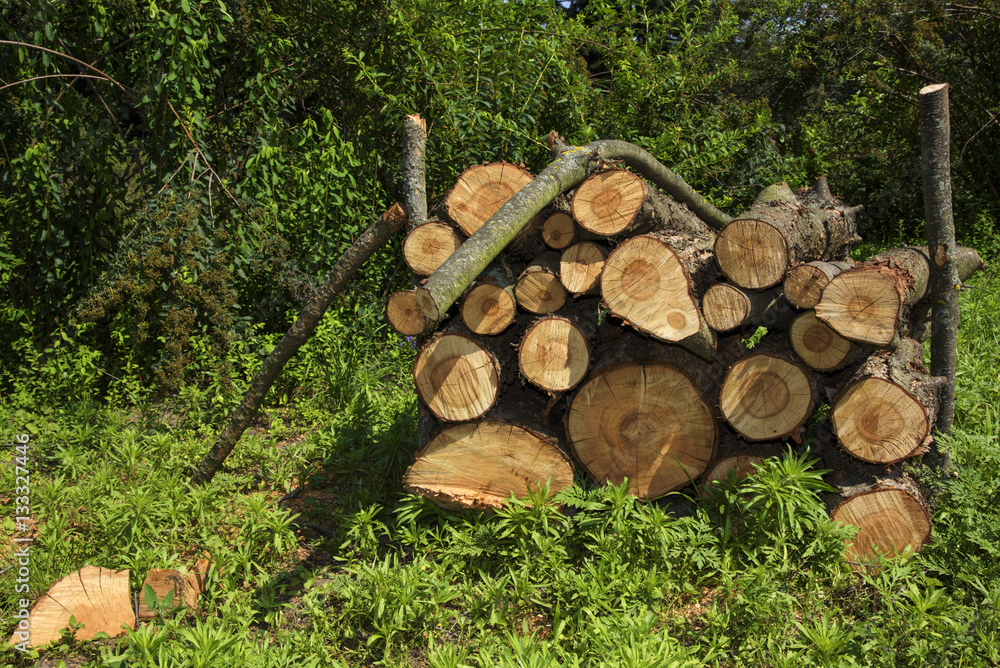 Bundle of firewood on the grass Bundle of firewood on the grass