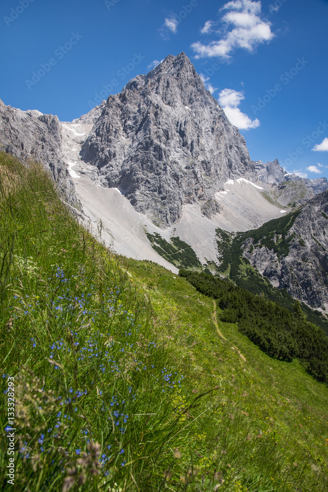Austrian mountain landscape with alpine herbs, Austria