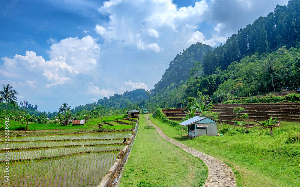 Footpath in the remote place, showing little house, ricefield, forest and mountain in sunny day.