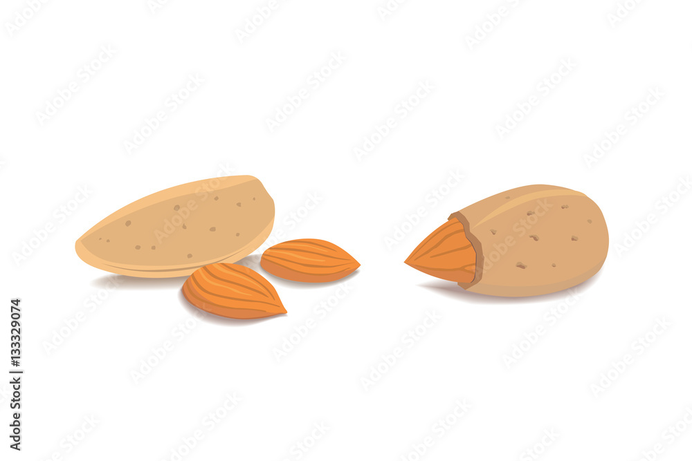 Vector collection of cartoon isolated almond. helthy nuts vegeterian food Vector collection of cartoon isolated almond. helthy nuts vegeterian food