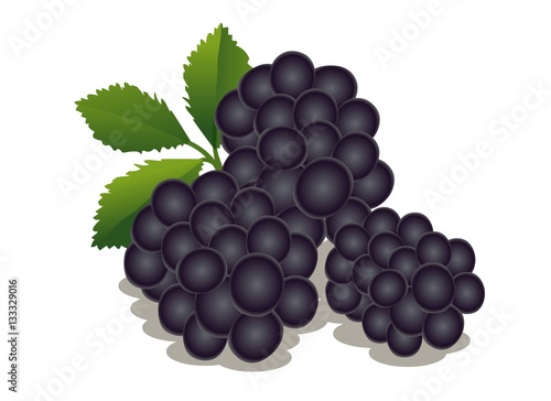 черника,  blueberries