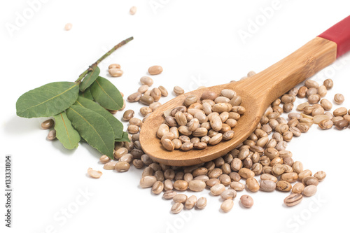 Carioca Kidney Beans With Bay Leaves photo