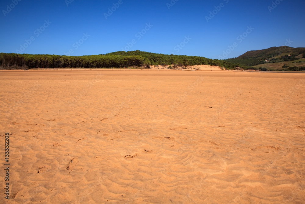 Liencres dunes nature reserve