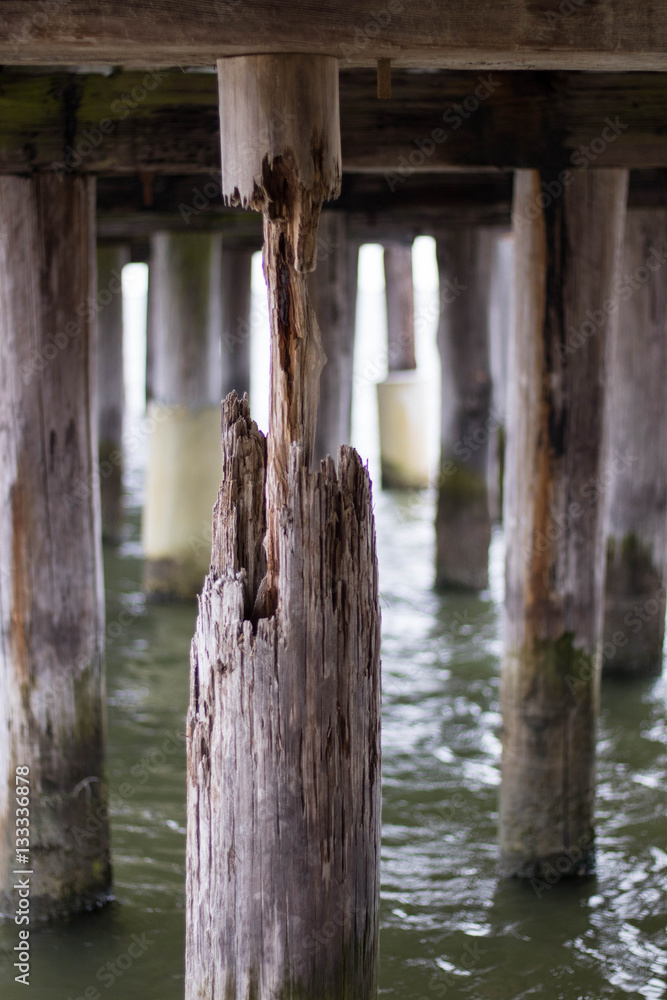 weathered dock pilings