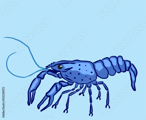 Blue marron crayfish kind shellfish illustration clip-art image