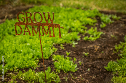 Grow Dammit