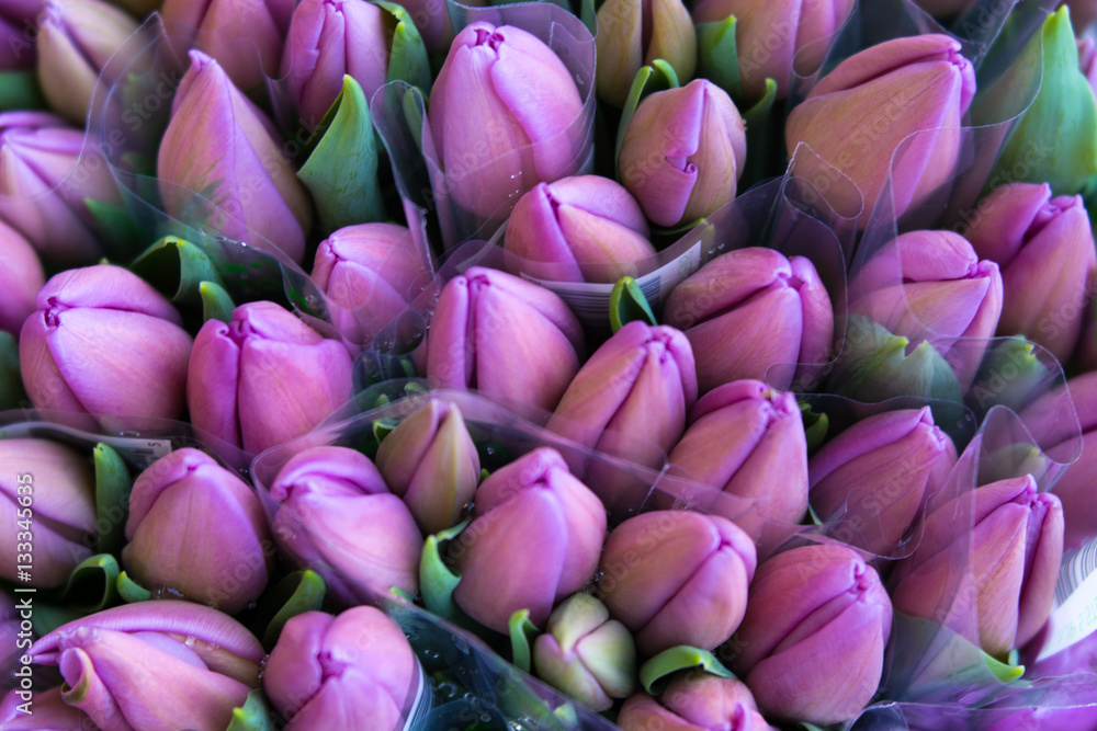 Fototapeta premium A Bouquet of Tulips