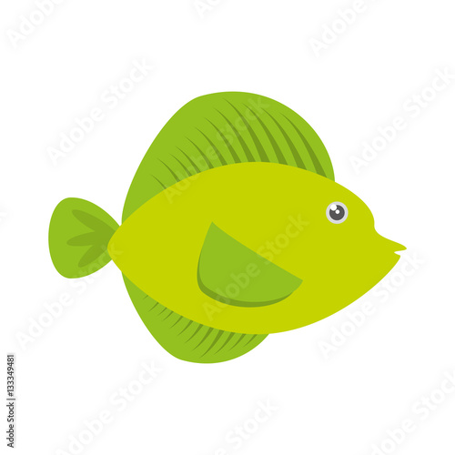 tropical fish sea life vector illustration eps 10
