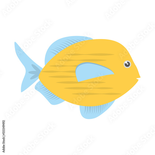 blue and yellow fish variety ocean vector illustration eps 10