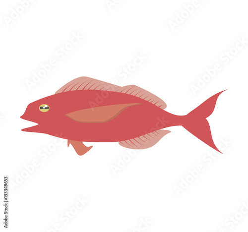 cod fish sealife food ocean vector illustration eps 10
