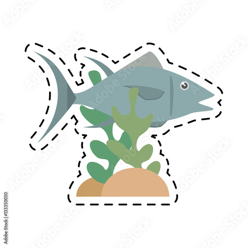 atun fish sealife food coral vector illustration eps 10