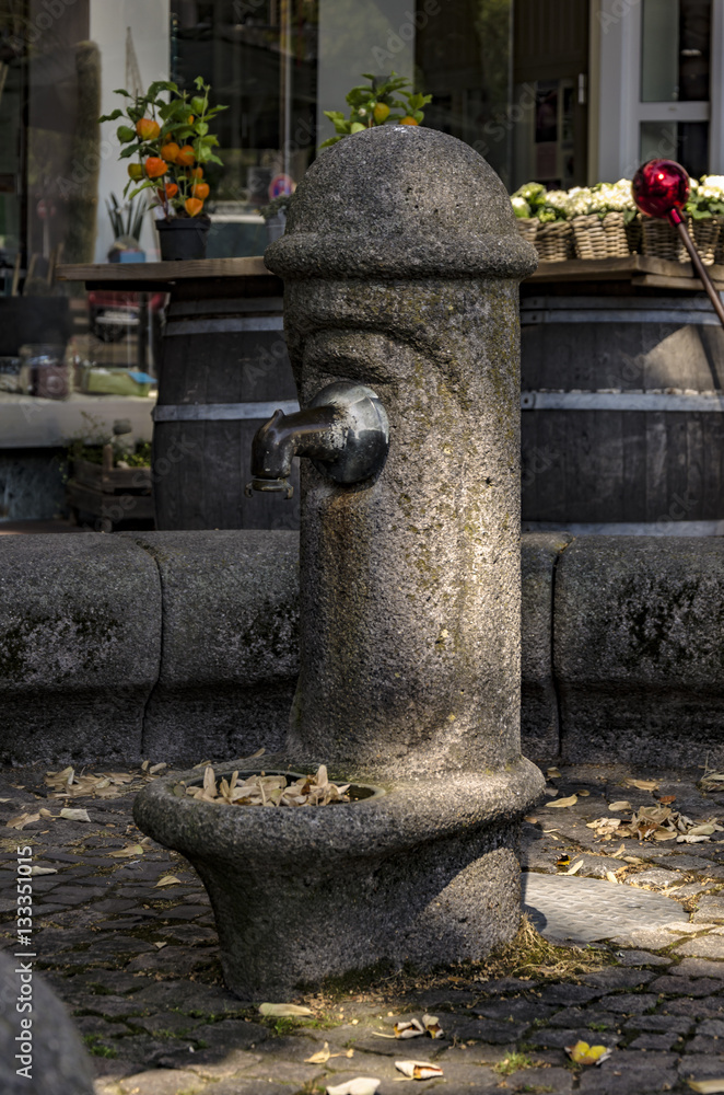 Fototapeta premium Trinkbrunnen