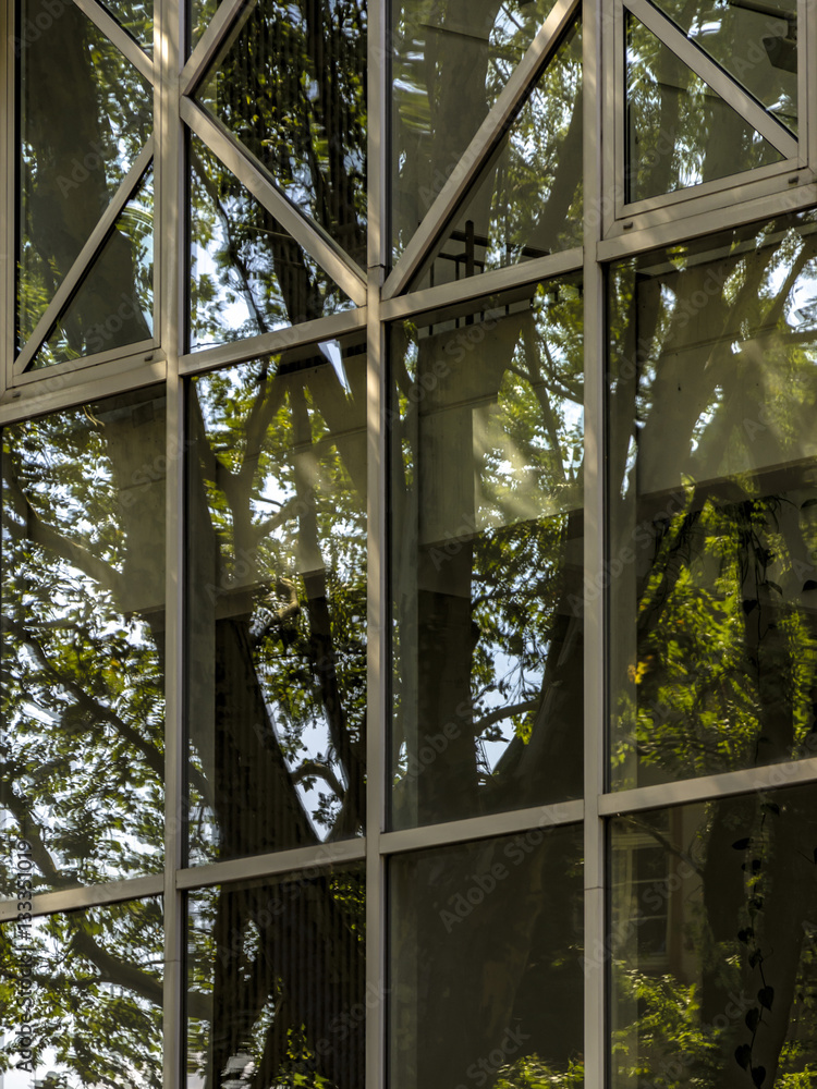 Baumspiegelung im Fenster Baumspiegelung im Fenster