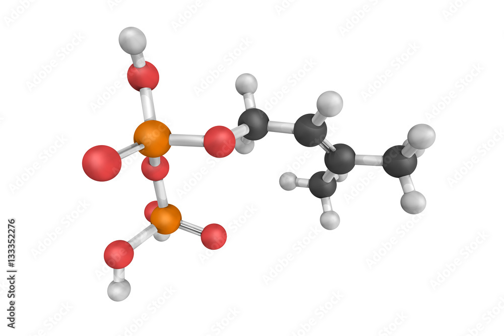 Dimethylallyl pyrophosphate, an intermediate product of both MVA Dimethylallyl pyrophosphate, an intermediate product of both MVA