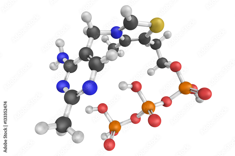 Thiamine triphosphate, a biomolecule found in most organisms inc Thiamine triphosphate, a biomolecule found in most organisms inc