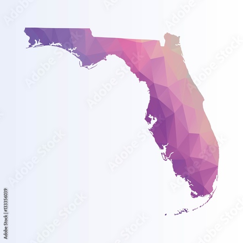 Polygonal map of Florida