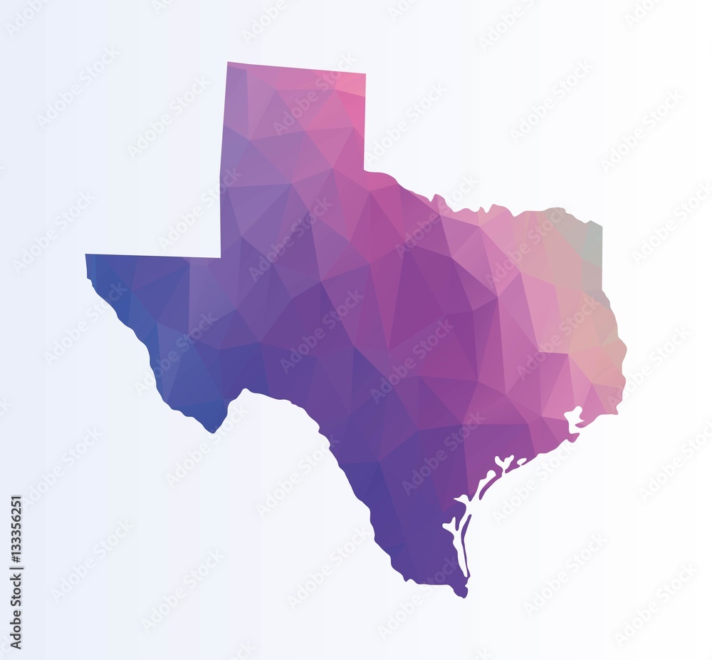 Polygonal map of Texas Polygonal map of Texas