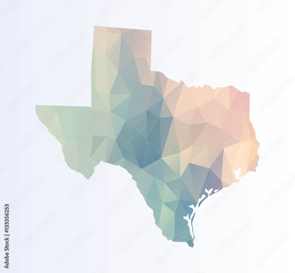 Polygonal map of Texas Polygonal map of Texas