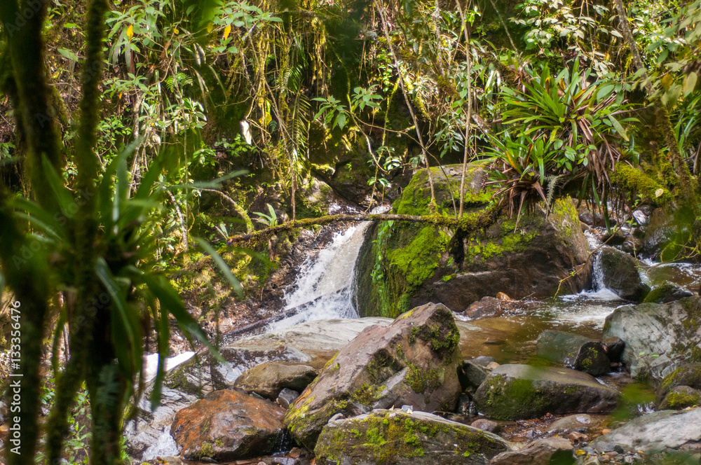 rivière dans la jungle rivière dans la jungle