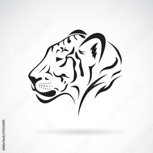 Fototapeta Naklejka Na Ścianę i Meble -  Vector of a tiger head on white background. Wild Animals