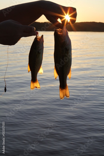 Fishy