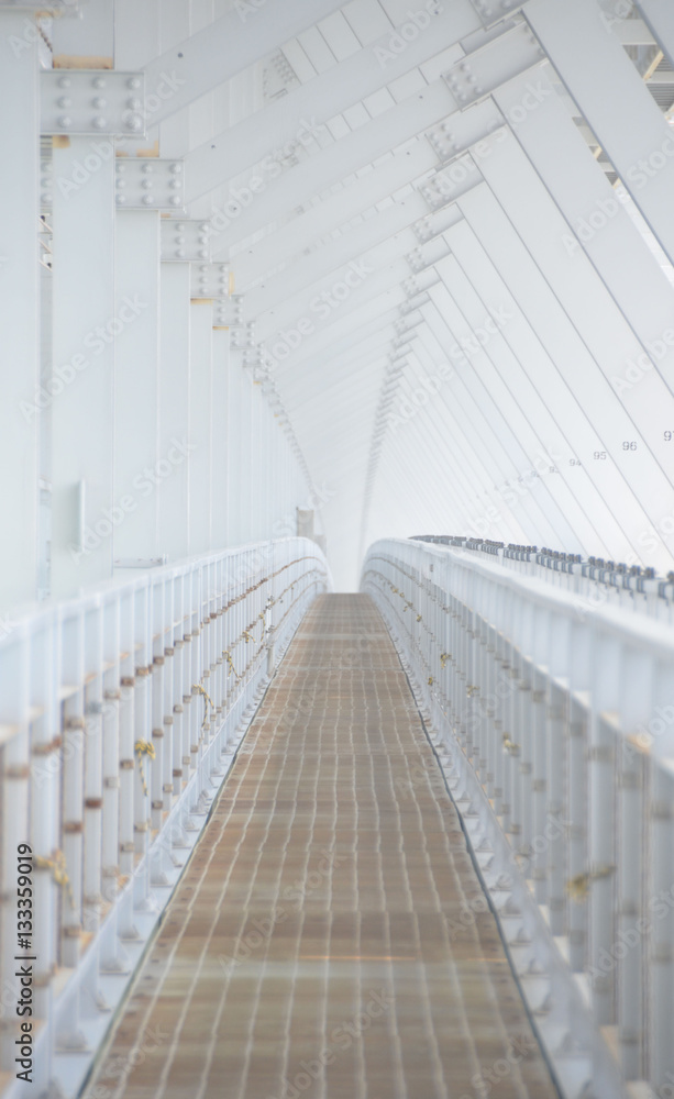 Fototapeta premium 長い道_建築