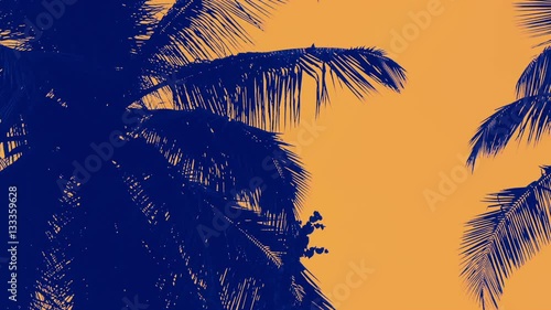 Dreamscene of Palm Trees Silhouettes Flowing by in Slow Motion in Sunset Lighting