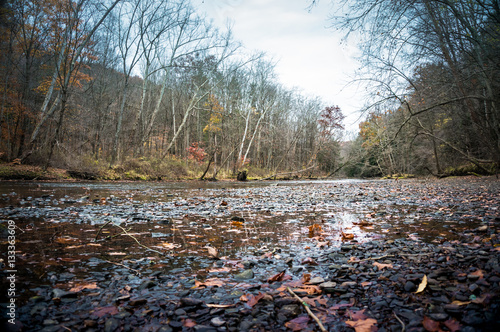 fall in the park