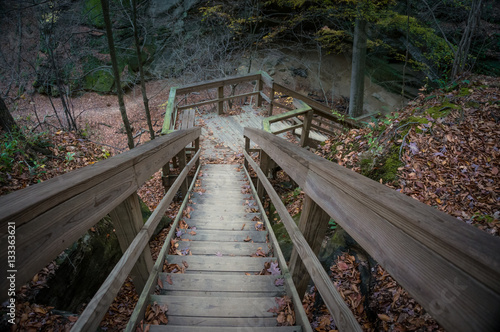 fall in the park