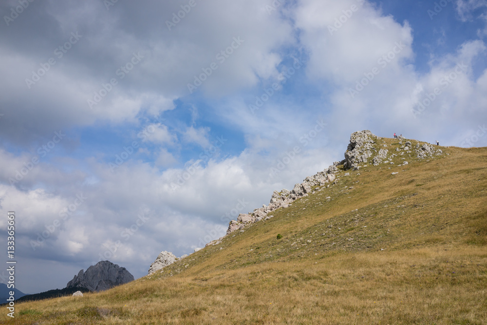 Beautiful natural landscape in the summer time