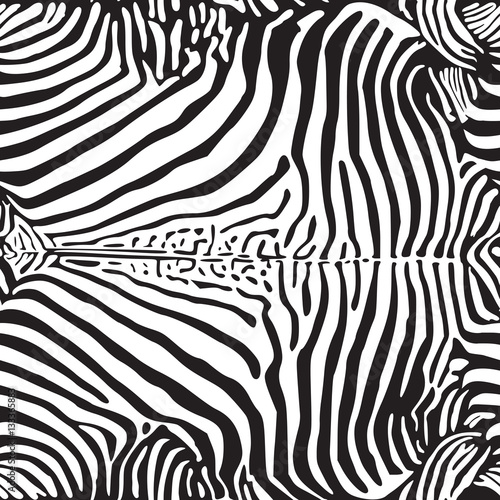 zebra print pattern