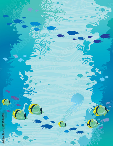 Wall of coral reef and school of fishes.